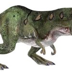 Skoonametrodon 2