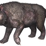 Andrewtodon