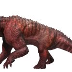 Acrocanthops