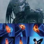 What Predator Sees