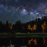 Stars and the Milky Way in Coconino National Forest, Arizona, US