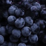 Blueberries.