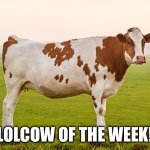 LOLCOW