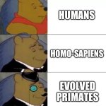 Fancy pooh | HUMANS; HOMO-SAPIENS; EVOLVED PRIMATES | image tagged in fancy pooh | made w/ Imgflip meme maker