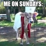 Holy cow | ME ON SUNDAYS: | image tagged in holy cow | made w/ Imgflip meme maker