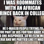 Smudge that darn cat | I WAS ROOMMATES WITH AN AFRICAN PRINCE BACK IN COLLEGE. HE E-MAILED PEOPLE TRYING TO GIVE PART OF HIS FORTUNE AWAY, BUT NO ONE RESPONDED. SO HE FLEW ME TO NIGERIA AND WE PARTIED LIKE IT WAS 1999 | image tagged in smudge that darn cat | made w/ Imgflip meme maker