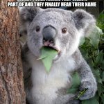 Surprised Koala Meme | PEOPLE WITH ADHD AFTER HYPERFOCUSING DURING A CONVERSATION THEY WEREN'T EVEN AWARE THEY WERE A PART OF AND THEY FINALLY HEAR THEIR NAME; ADHD: HUH???? | image tagged in memes,surprised koala adha,adhd,friends,blank text conversation,hyper | made w/ Imgflip meme maker