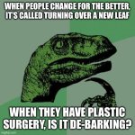 Hmmmmmm | WHEN PEOPLE CHANGE FOR THE BETTER, IT’S CALLED TURNING OVER A NEW LEAF; WHEN THEY HAVE PLASTIC SURGERY, IS IT DE-BARKING? | image tagged in memes,philosoraptor | made w/ Imgflip meme maker