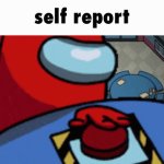 self report template