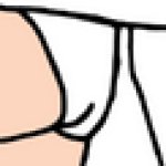 Princess Belle's White Underwear