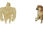big dog small dog