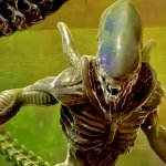 Xenomorph