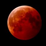 blood worm moon • 3/14/25 • nikon p1000