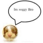 Im soggy bro meme