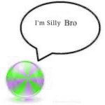I'm Silly Bro