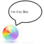 I'm Gay Bro