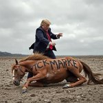 Dead horse