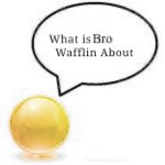 What is Bro Wafflin About