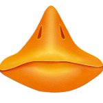 Duckbill