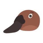 Brown duck