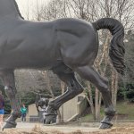 Horse's Ass