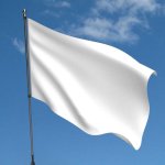 The real France Flag