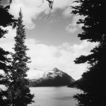 Nature.