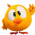 Where's chicky