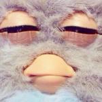 Furby meme