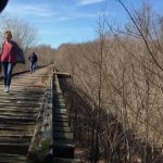 Bridge guy