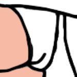 Candace Flynn's White Underwear