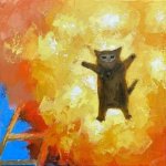 flying cat