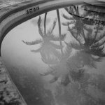 Pool.