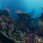 underwater land