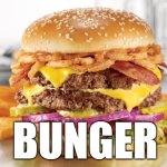 no women? no problem. bunger will help you | BUNGER | image tagged in burger fries,bunger,no bitches | made w/ Imgflip meme maker