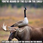 The goose on the moose | YOU'VE HEARD OF THE ELF ON THE SHELF; BUT HAVE YOU HEARD OF THE GOOSE ON THE MOOSE | image tagged in the goose on the moose | made w/ Imgflip meme maker