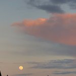 Daytime Full Moon.