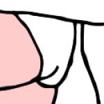 Jane Porter's White Underwear