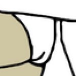 A-ko Magami's White Underwear