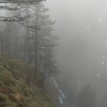Nature.