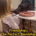 Have always loved the bond between children & dogs :) | Kids & Dogs Part 1; Friendship: The Perfect Blendship | image tagged in gifs,kids,dogs,friends,love,acceptance | made w/ Imgflip video-to-gif maker