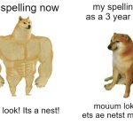 Buff Doge vs. Cheems | my spelling now; my spelling as a 3 year old; Mom look! Its a nest! mouum lokk ets ae netst moum | image tagged in memes,buff doge vs cheems | made w/ Imgflip meme maker