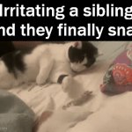 Stop bothering me, stop it ..... | Irritating a sibling and they finally snap | image tagged in gifs,irritate,siblings,stop it | made w/ Imgflip video-to-gif maker