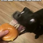 When it is almost Friday | WHEN IT IS APPROACHING MIDNIGHT ON THURSDAY AND YOU STILL HAVE TO FINISH YOUR BURGER | image tagged in dog glitching,catholic,fasting,catholic church,catholicism | made w/ Imgflip meme maker