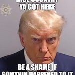 Donald Trump Mugshot | NICE COUNTRY YA GOT HERE; BE A SHAME IF SOMTHIN HAPPENED TO IT | image tagged in donald trump mugshot | made w/ Imgflip meme maker