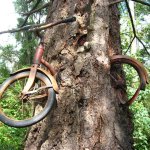 Tree with a cycle