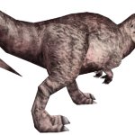 Albino Acrocanthosaurus (FMM UV-32)