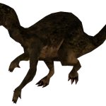 Rhabdodon (FMM UV-32)