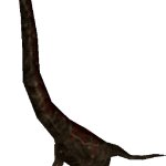 Paluxysaurus (FMM UV-32)