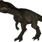 Female Neovenator (FMM UV-32)